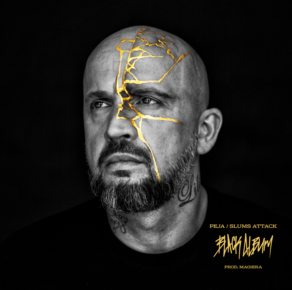 PejaBLACK ALBUMCDMERCHIT.PL - Music & More!