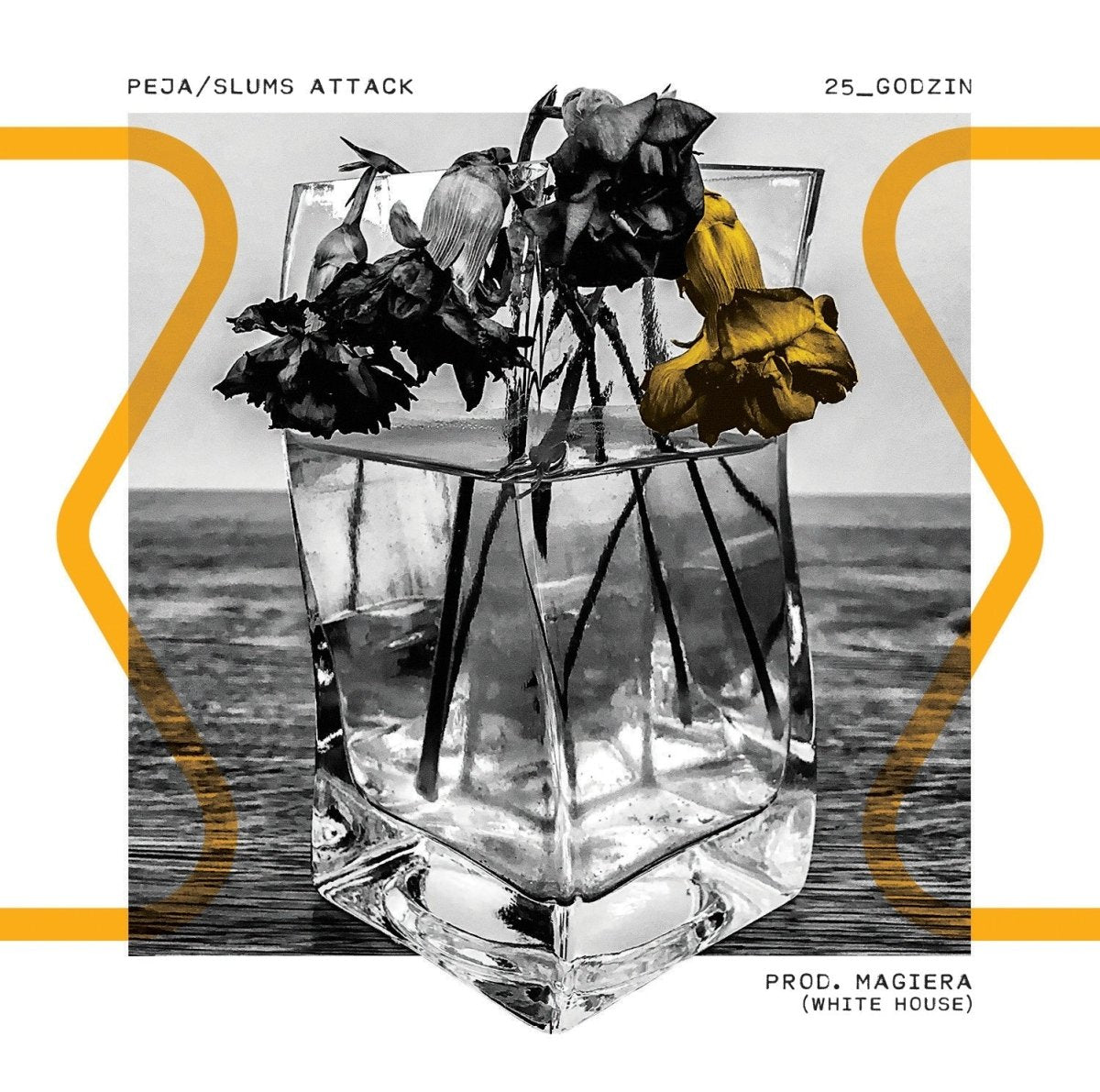 Peja25_godzin prod. Magiera (White House) (Standard)CDMERCHIT.PL - Music & More!