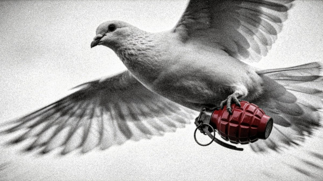 Wielki powrót Kaczora - "Przebudzenie" już w przedsprzedaży! - MERCHIT