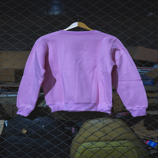 Star Dust (PINK SWEATSHIRT)