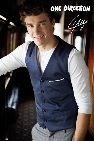 One DirectionLiamPlakatMERCHIT