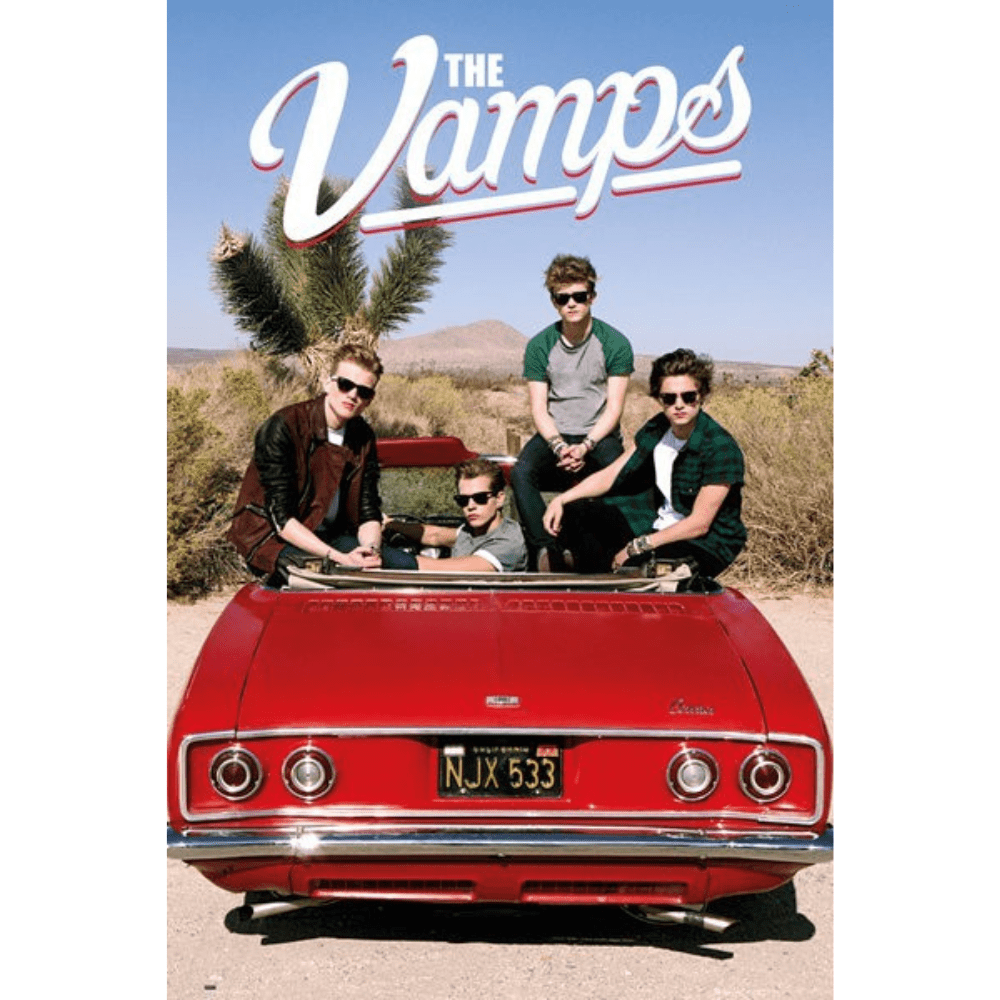 The VampsCarPlakatMERCHIT
