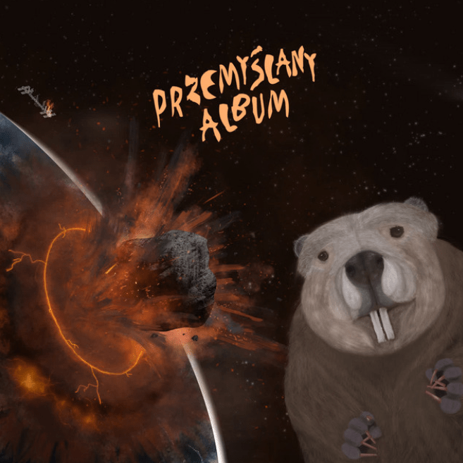 BoberPrzemyślany AlbumCDMERCHIT