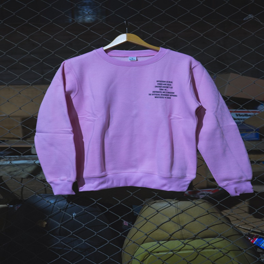 Star Dust (PINK SWEATSHIRT)
